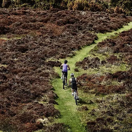 Comwell Rebild Bakker Отель