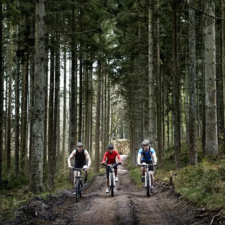 Comwell Rebild Bakker 4* Скёрпинг