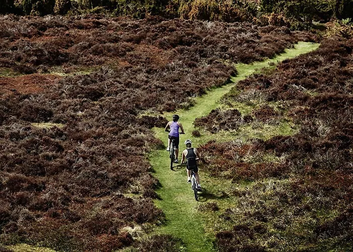 Comwell Rebild Bakker Hotel